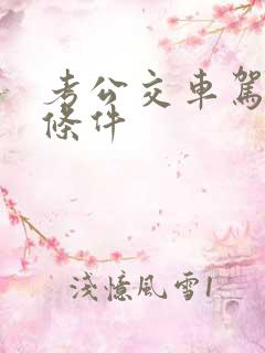 考公交车驾驶证条件