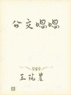 公交嗯嗯