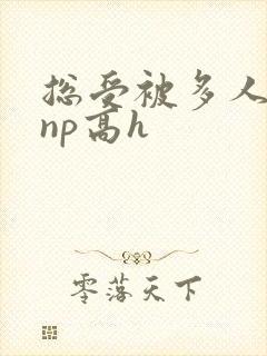 总受被多人玩弄np高h