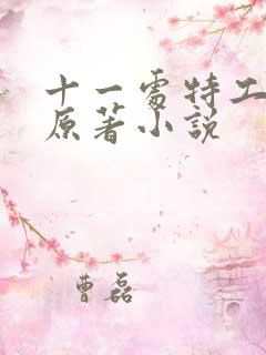 十一处特工皇妃原著小说