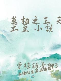 万相之王 天蚕土豆 小说