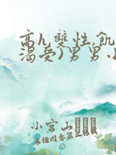 高h,双性,饥渴受)男男小说