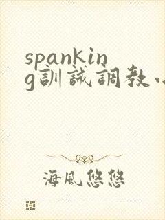 spanking训诫调教小说