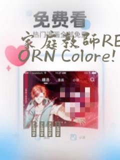 家庭教师REBORN Colore! 画集