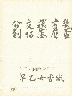 公交还有几分钟到站怎么查