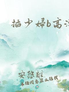 插少妇b高潮