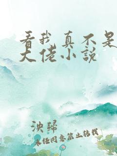 看我真不是女装大佬小说