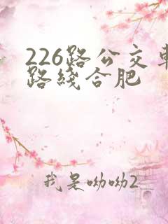 226路公交车路线合肥