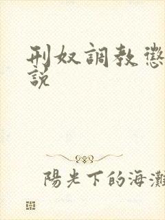 刑奴调教惩罚小说