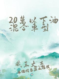 20万以下油电混合车型 20万以下油电混合车型