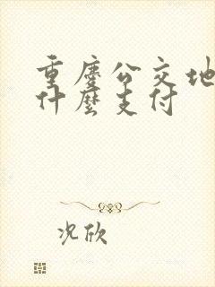重庆公交地铁用什么支付