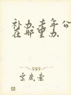 补办老年公交卡在哪里办