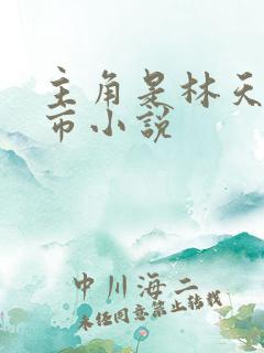 主角是林天的都市小说