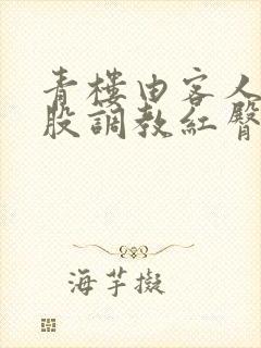 青楼由客人打屁股调教红臀