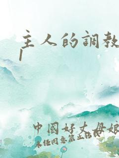 主人的调教1v1