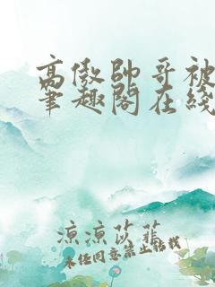 高傲帅哥被催眠笔趣阁在线阅读