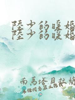 陆少的暖婚新妻陆少的暖婚新妻