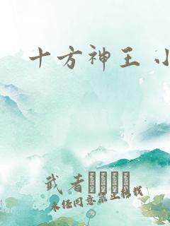 十方神王 小说