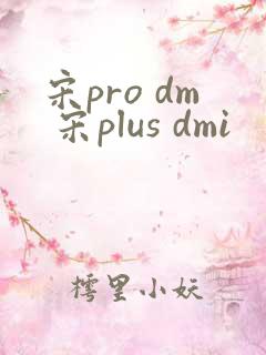 宋pro dm 宋plus dmi 宋pro dm 宋plus dmi
