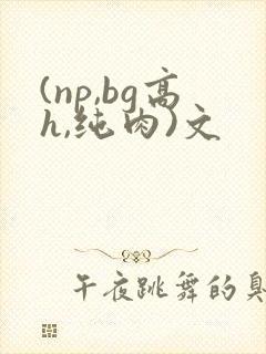 (np,bg高h,纯肉)文