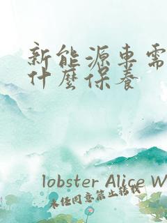 新能源车需要做什么保养