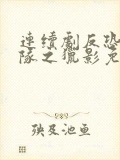 连续剧反恐特战队之猎影免费