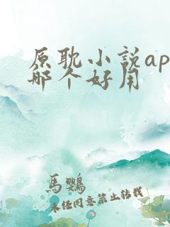 原耽小说app哪个好用