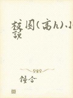 校园(高h)小说