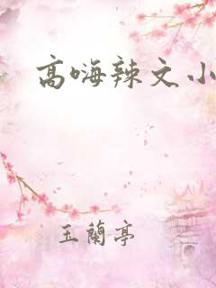 高嗨辣文小说 高嗨辣文小说