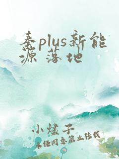 秦plus新能源 落地
