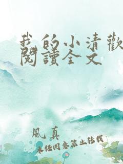 我的小清欢在线阅读全文