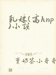 乳娘(高hnp)小说