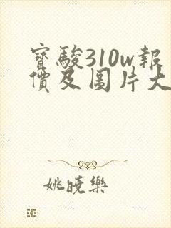 宝骏310w报价及图片大全