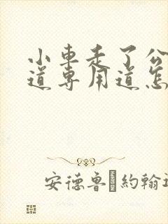 小车走了公交车道专用道怎么办