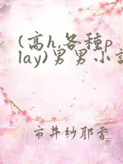 (高h,各种play)男男小说