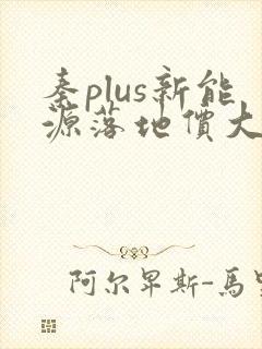 秦plus新能源落地价大概多少 秦plus新能源落地价大概多少