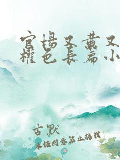 官场又黄又肉的权色长篇小说