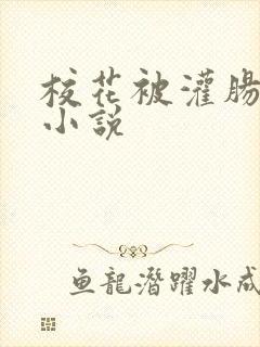 校花被灌肠调教小说