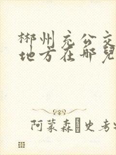 郴州充公交卡的地方在哪儿