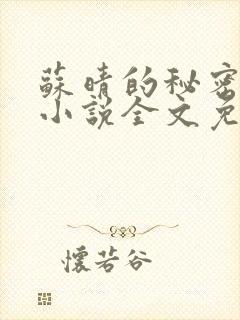 苏晴的秘密言情小说全文免费阅读