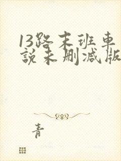 13路末班车小说未删减版