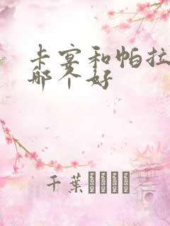 卡宴和帕拉梅拉哪个好