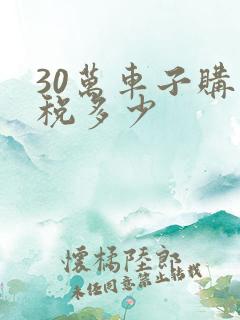 30万车子购置税多少