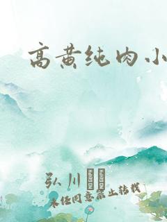 高黄纯肉小说 高黄纯肉小说