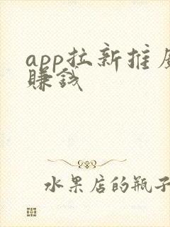 app拉新推广赚钱