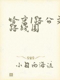 哈密1路公交车路线图