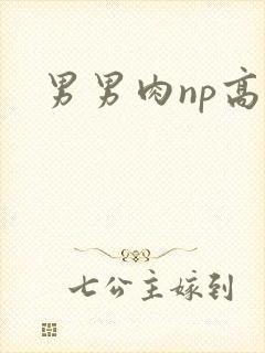 男男肉np高h