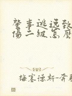 肇事逃逸致人重伤二级怎么判