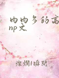 肉肉多的高h np文