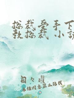 总裁受手下攻调教总裁 小说